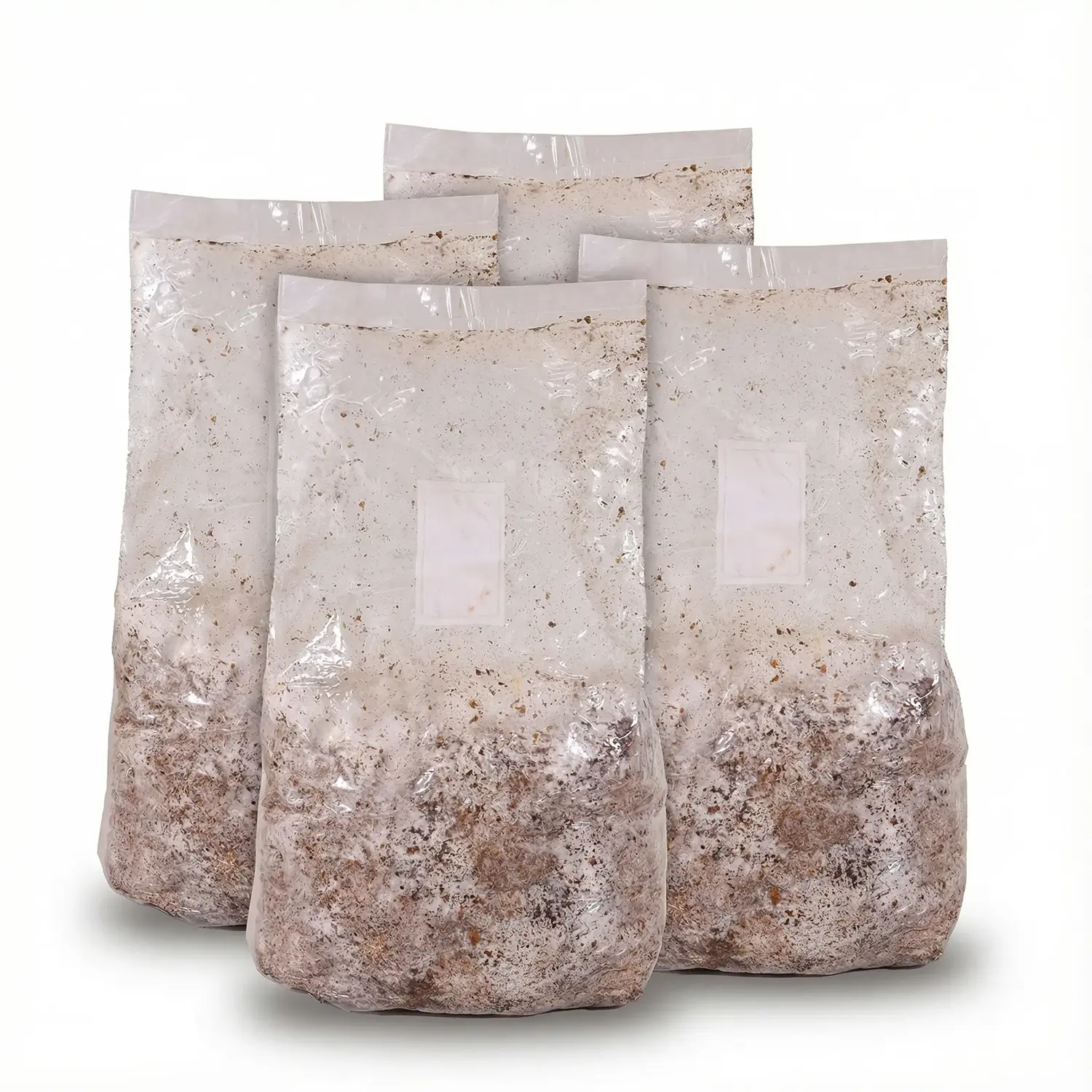 מגה מאשרום ערכה אורגנית לגידול ביתי