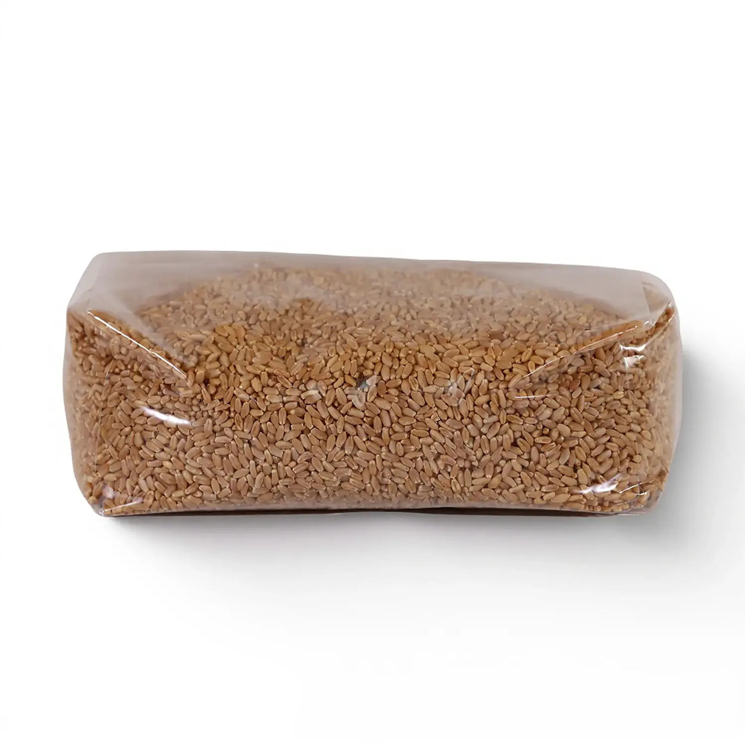 זרעי חיטה אורגנית מעוקר