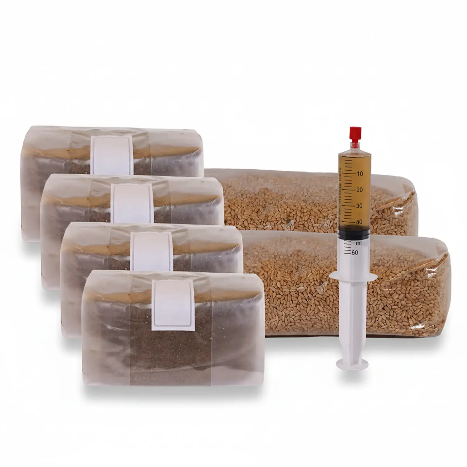 חבילה מושלמת לחובבי גידול פטריות