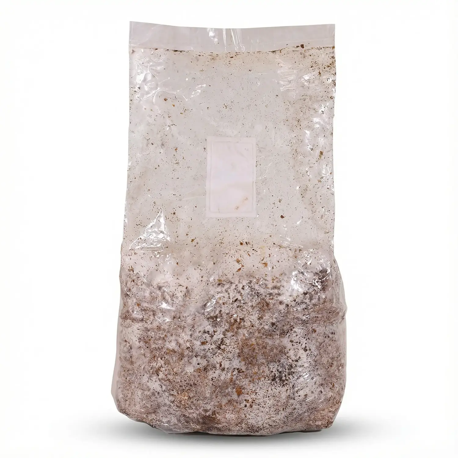 מגה מאשרום ערכה אורגנית לגידול ביתי