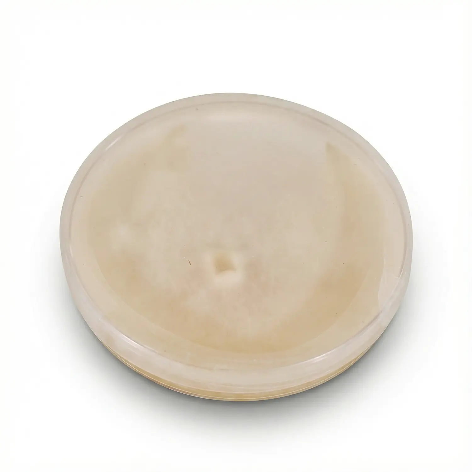 צלחת פטרי המכילה תפטיר פטריות