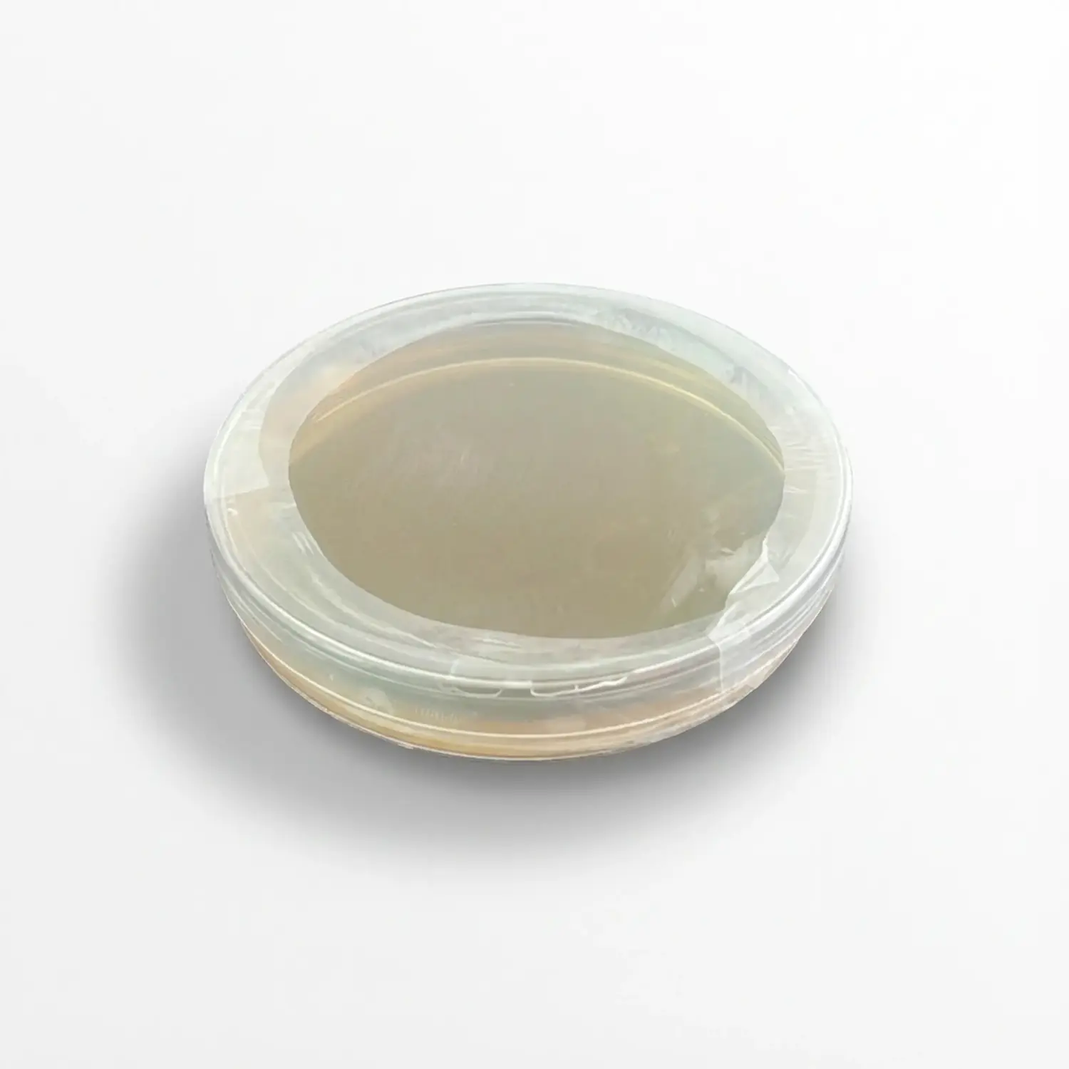 צלחת פטרי עם אגר מעוקר